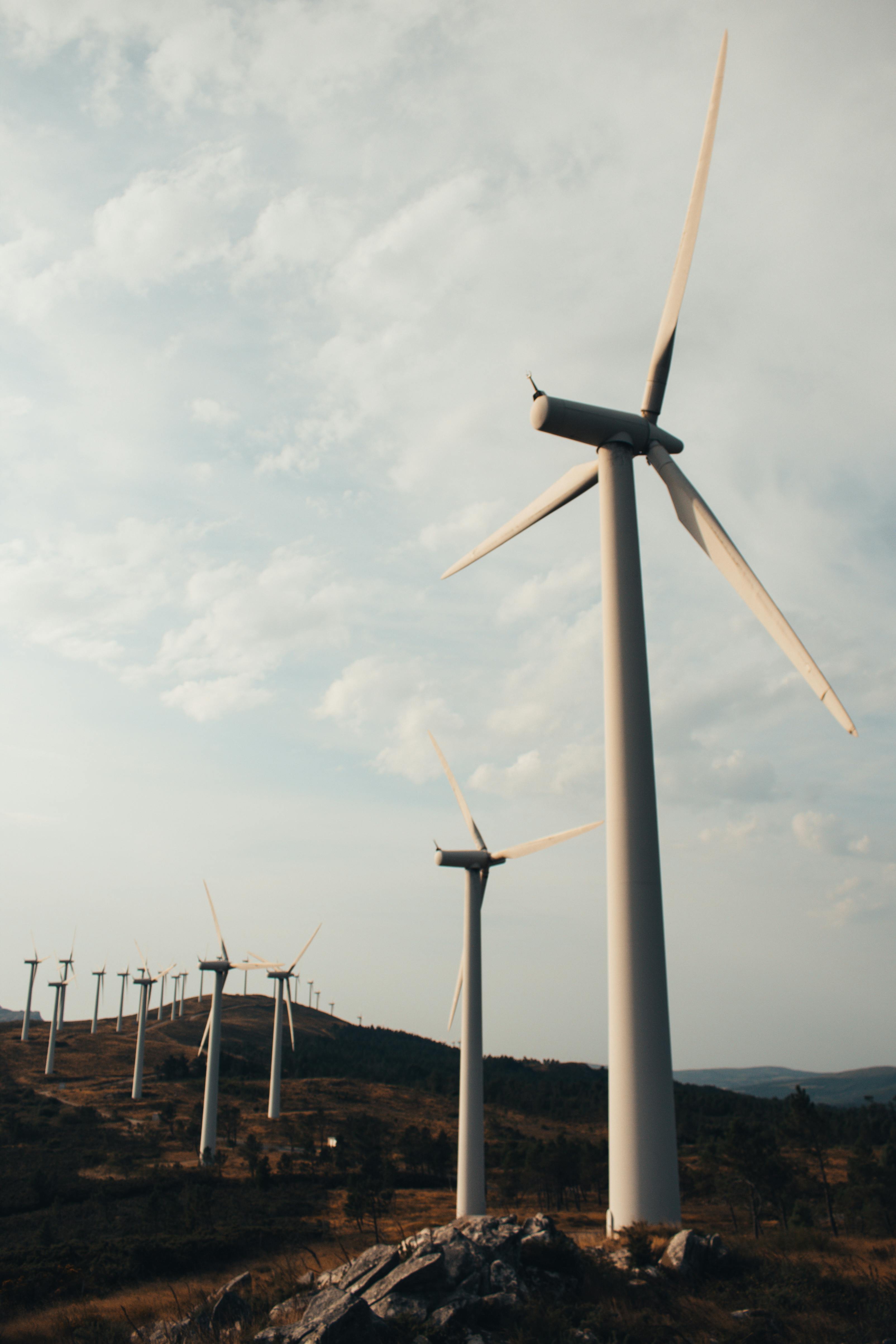 Wind Turbine Farms Back